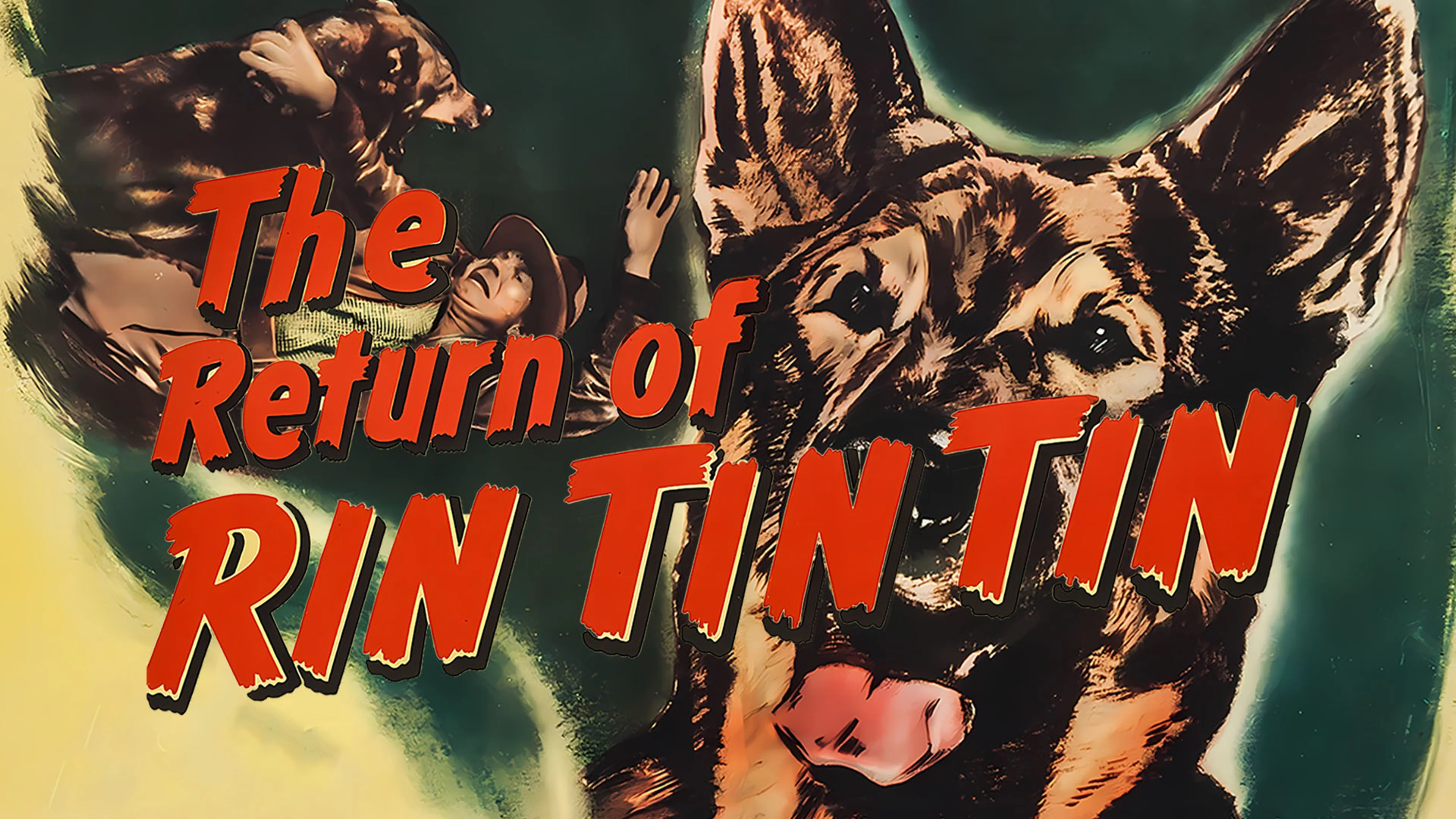 The Return of Rin Tin Tin poster
